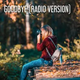 Cover art for Goodbye (Radio Version) - Jagged Edge karaoke version