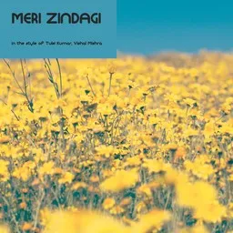 Cover art for Meri Zindagi - Tulsi Kumar,Vishal Mishra karaoke version