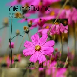 Titelbild für Nie mów nic - Czerwone Gitary Karaoke-Version