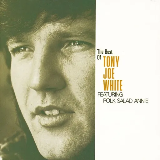 Karaoke Takin' the Midnight Train by Tony Joe White — sing along with lyrics on Singa
