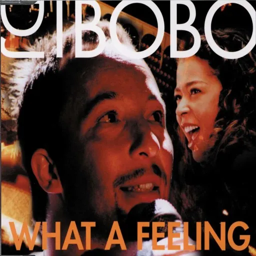 Karaoke What a Feeling by DJ BoBo, Irene Cara — sing along with lyrics on Singa