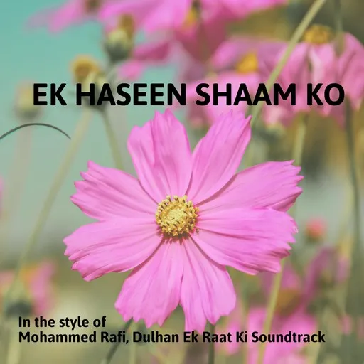 Ek Haseen Shaam Ko - Karaoke
