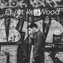 Cover art for Et jitt kei Wood - Cat Ballou karaoke version