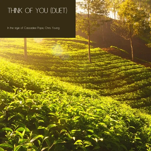 Karaoke Think of You (Duet) av Cassadee Pope, Chris Young — sjung med på texten på Singa