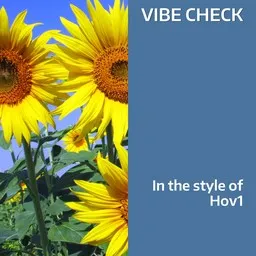 Omslagsbild för Vibe Check - Hov1 karaokeversion