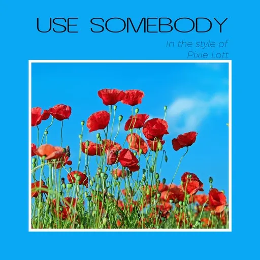 Use Somebody - Karaoke