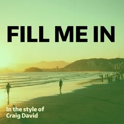Titelbild für Fill Me In - Craig David Karaoke-Version