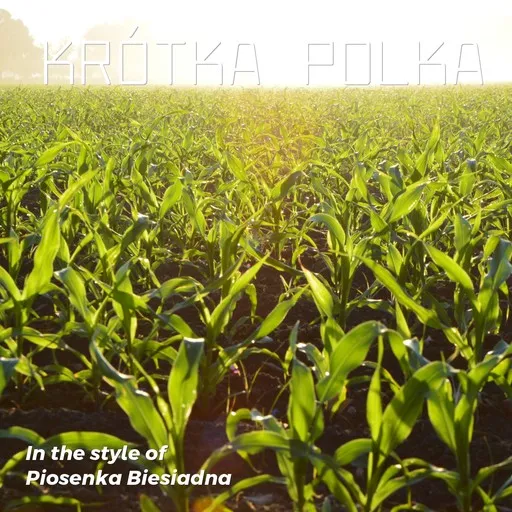 Karaoke Krótka polka by Piosenka Biesiadna — sing along with lyrics on Singa