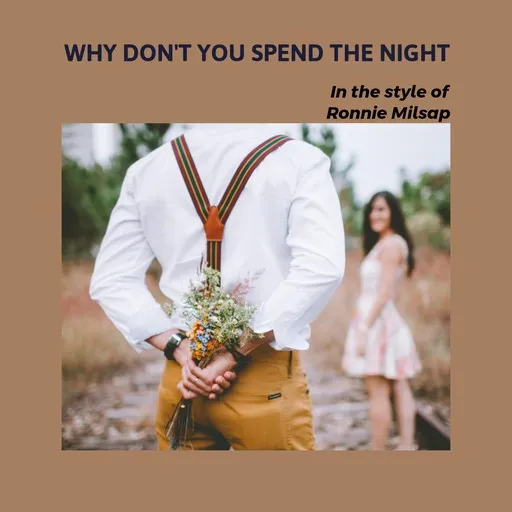 Why Don't You Spend The Night - Karaoke