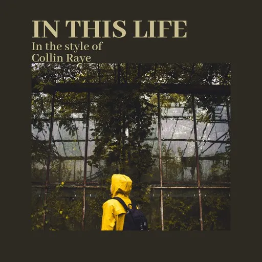 In This Life - Karaoke