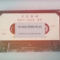 Cover art for Walk This Way - Aerosmith,Run DMC karaoke version