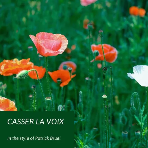 Casser la voix - Karaoke