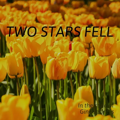 Karaoke Two Stars Fell by Gina Jeffreys — sing along with lyrics on Singa