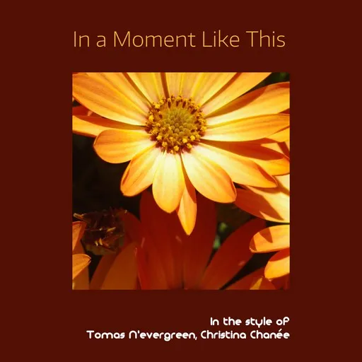 In a Moment Like This - Karaoke