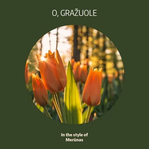 O, Gražuole - Karaoke