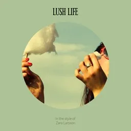 Cover art for Lush Life - Zara Larsson karaoke version