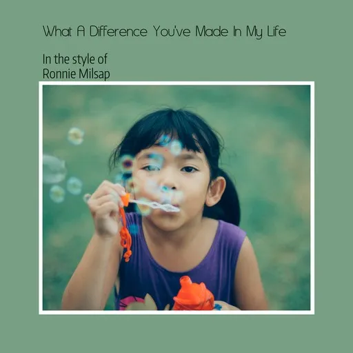 What A Difference You've Made In My Life - Karaoke