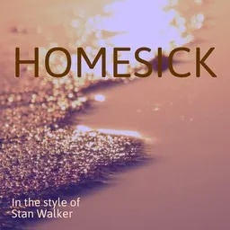 Cover art for Homesick - Stan Walker karaoke version