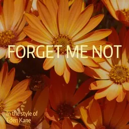 Cover art for Forget Me Not - Eden Kane karaoke version