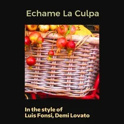 Cover art for Echame La Culpa - Demi Lovato,Luis Fonsi karaoke version
