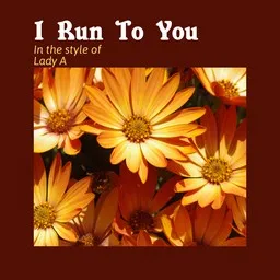 Karaokekappaleen I Run To You - Lady A kansikuva