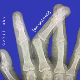 Cover art for The Wild