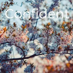 Omslagsbild för Confident - Chance The Rapper,Justin Bieber karaokeversion