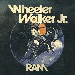 Wheeler Walker Jr - Karaoke
