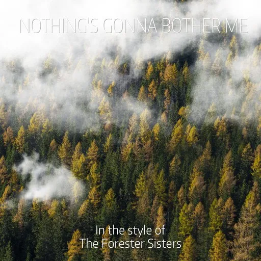Karaoke Nothing's Gonna Bother Me von The Forester Sisters — mit Songtext mitsingen auf Singa