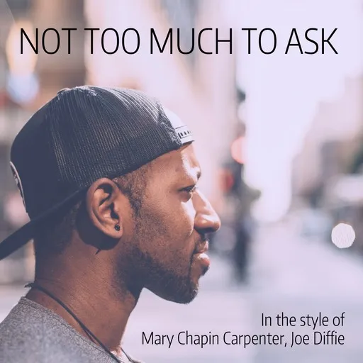 Not Too Much To Ask - Karaoke