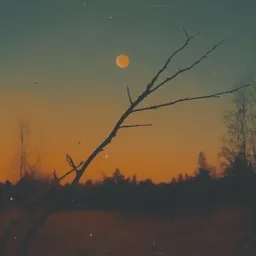 Titelbild für Haavoittumaton - Yölintu Karaoke-Version
