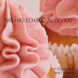 Cover art for Me Has Echado Al Olvido - José Feliciano karaoke version