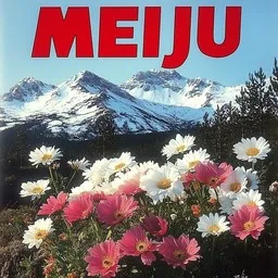 Cover art for Tahdon sinut - Meiju Suvas karaoke version