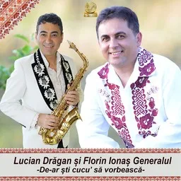 Titelbild für De-Ar Stii Cucu Sa Vorbeasca - Florin Ionas Generalul,Lucian Dragan,Nici Bogatii,Nici Saracii Karaoke-Version