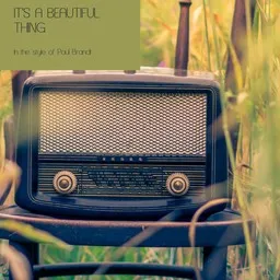 Omslagsbild för It's A Beautiful Thing - Paul Brandt karaokeversion