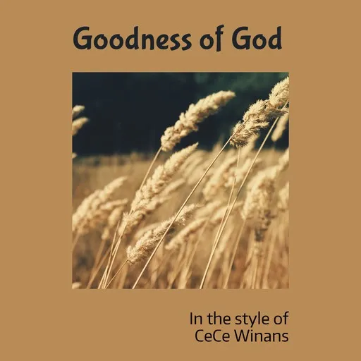Goodness of God - Karaoke