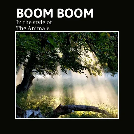 Karaoke Boom Boom esittäjältä The Animals — laula mukana sanoituksilla Singassa