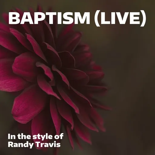 Karaoke Baptism (Live) by Randy Travis — sing along with lyrics on Singa