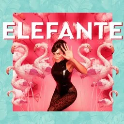 Cover art for Elefante - NK (НК) karaoke version
