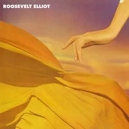 Titelbild für Montreal - Roosevelt Karaoke-Version