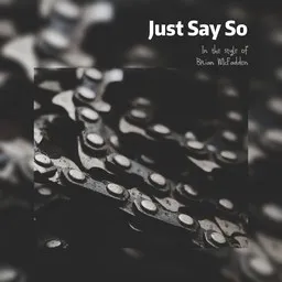 Titelbild für Just Say So - Brian McFadden Karaoke-Version