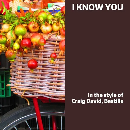 Karaoke I Know You by Bastille, Craig David — sing along with lyrics on Singa