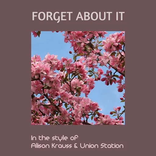 Forget About It - Karaoke