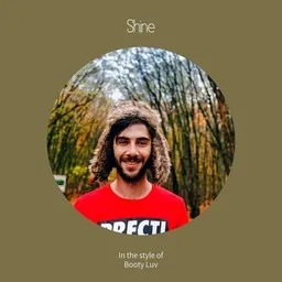 Cover art for Shine - Booty Luv karaoke version