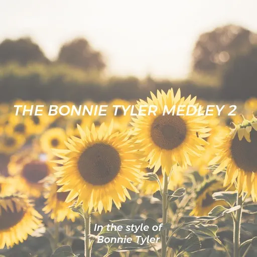 Karaoke The Bonnie Tyler Medley 2 by Bonnie Tyler — sing along with lyrics on Singa
