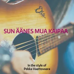 Cover art for Pekka Vaattovaara