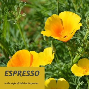 Cover art for Espresso - Sabrina Carpenter karaoke version