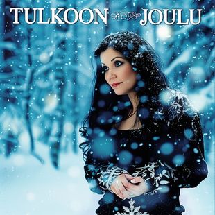 Cover art for Tulkoon joulu - Suvi Teräsniska karaoke version