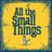 Cover art for All the Small Things - blink-182 karaoke version