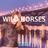 Cover art for Wild Horses - Susan Boyle karaoke version